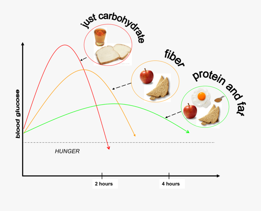 Picture Transparent Download Carbohydrate Drawing Protein - Dish, Transparent Clipart