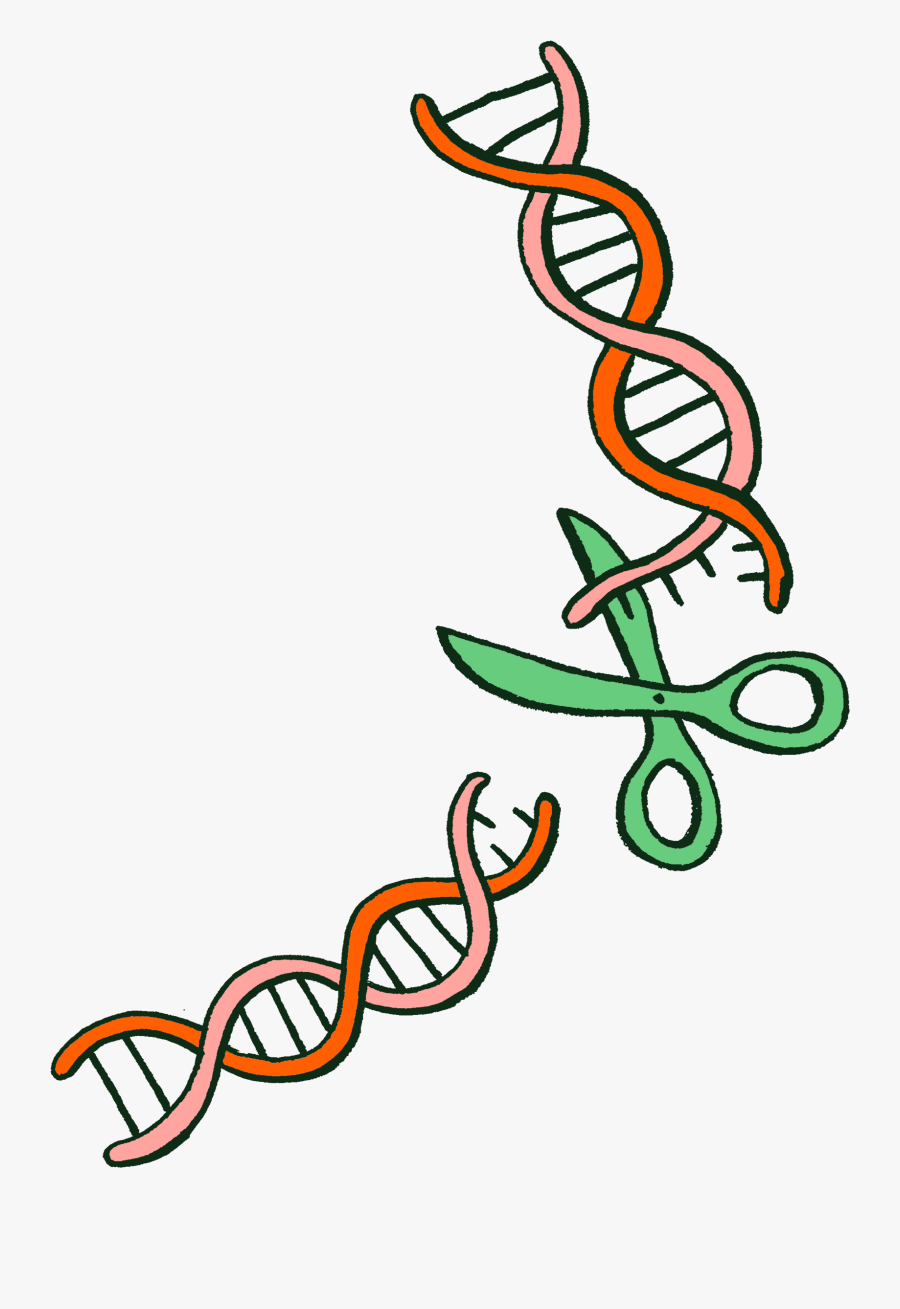 Gmos Exchange Of Dna, Transparent Clipart