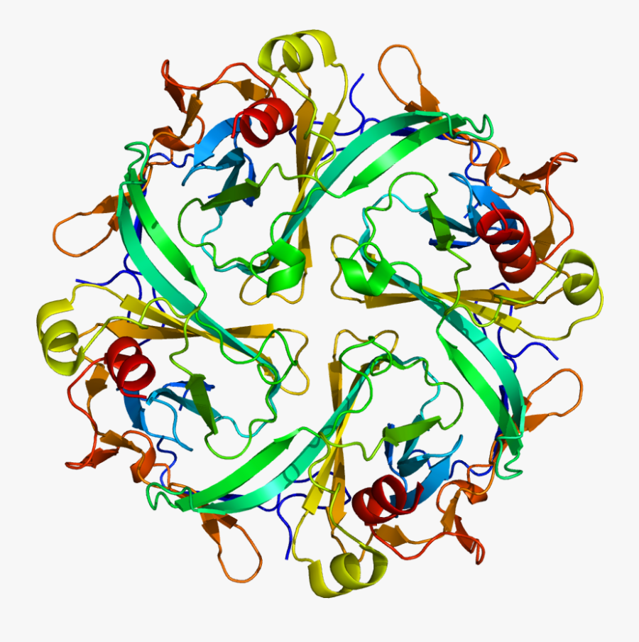 Protein Kcnj2 Pdb 1u4f - Kir2 1 Potassium Channel, Transparent Clipart