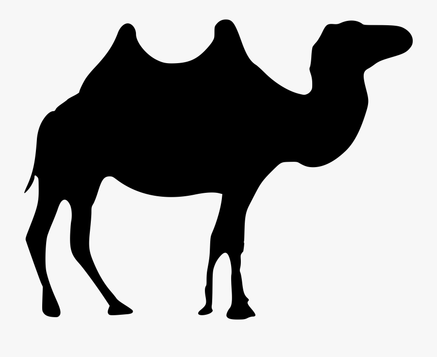 Camels Clipart Big Animal - Transparent Camel Clipart Png, Transparent Clipart