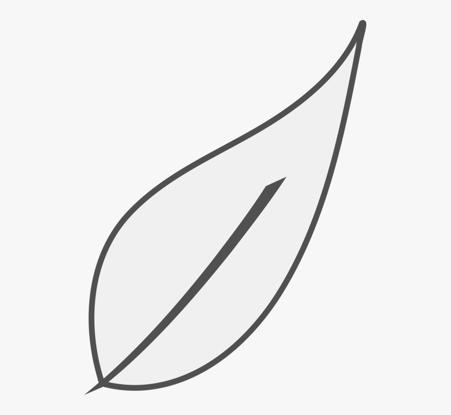 Line Art,leaf,area - Line Art, Transparent Clipart
