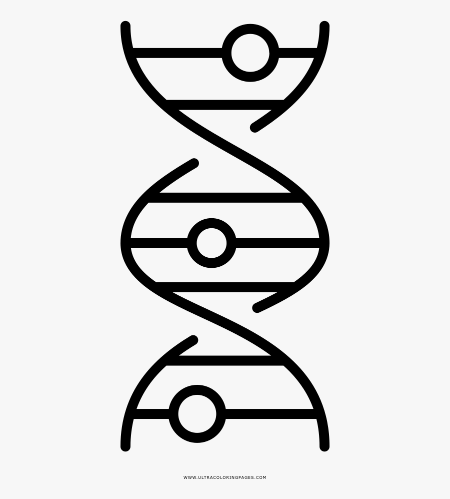 Dna Strand Coloring Page - Dibujos De Adn Para Colorear, Transparent Clipart