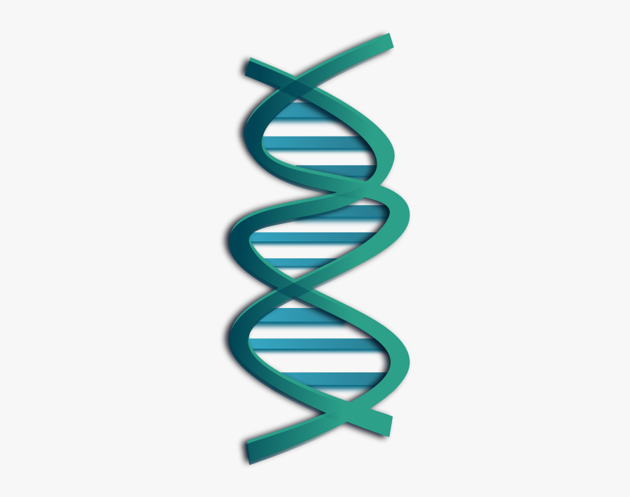 Clipart - Dna - Dna Clip Art, Transparent Clipart