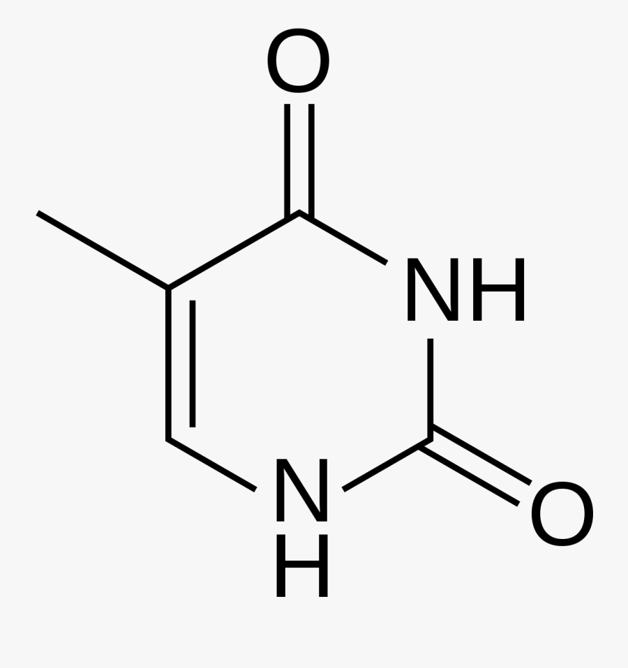 Thymine - Structure, Transparent Clipart