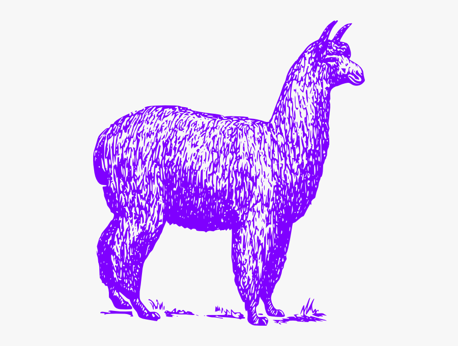 Adventure You Say Alpaca My Bags, Transparent Clipart