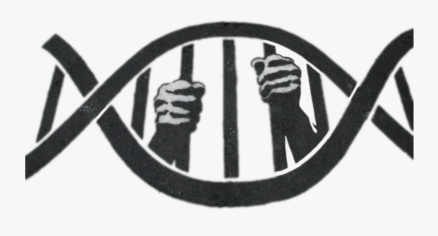 #dna #jail #prison - Dna And Crimes, Transparent Clipart