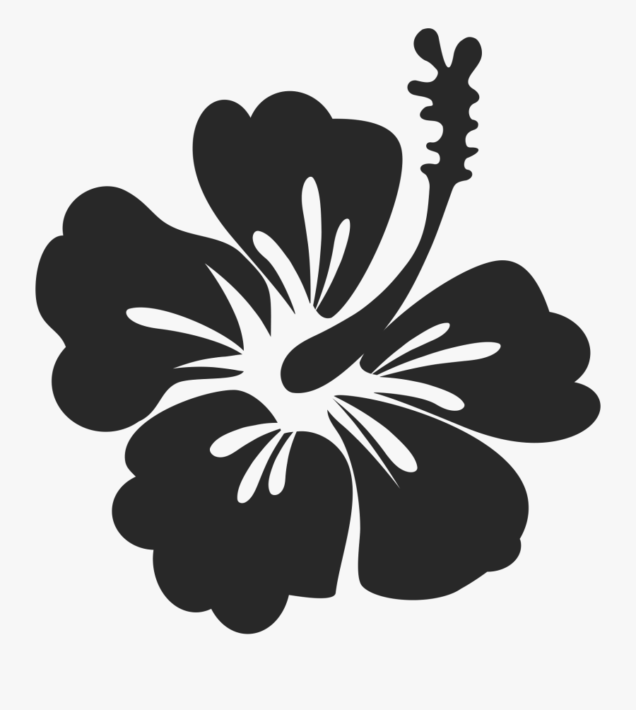 Transparent Hibiscus Clipart Black And White - Hibiscus Stamp, Transparent Clipart