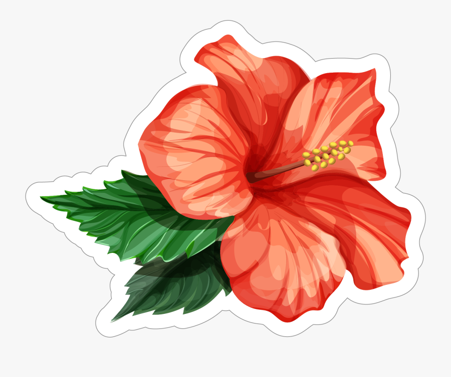 Realistic Hibiscus Flower Drawing , Free Transparent Clipart - ClipartKey