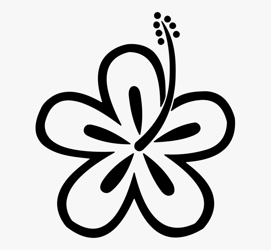 Hawaiian Hibiscus Rosemallows Post Cards Balinea Thermen - Drawing Rosemallows, Transparent Clipart