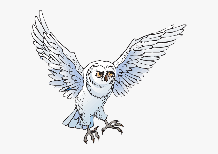Snow Owl Clipart - Snowy Owl Clipart, Transparent Clipart