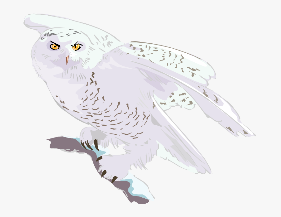 Flying Transparent Snowy Owl Clipart, Transparent Clipart