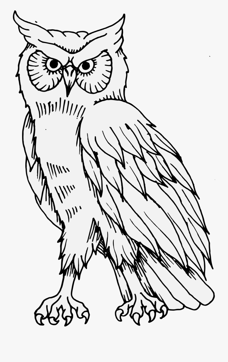Transparent Png Owl, Transparent Clipart