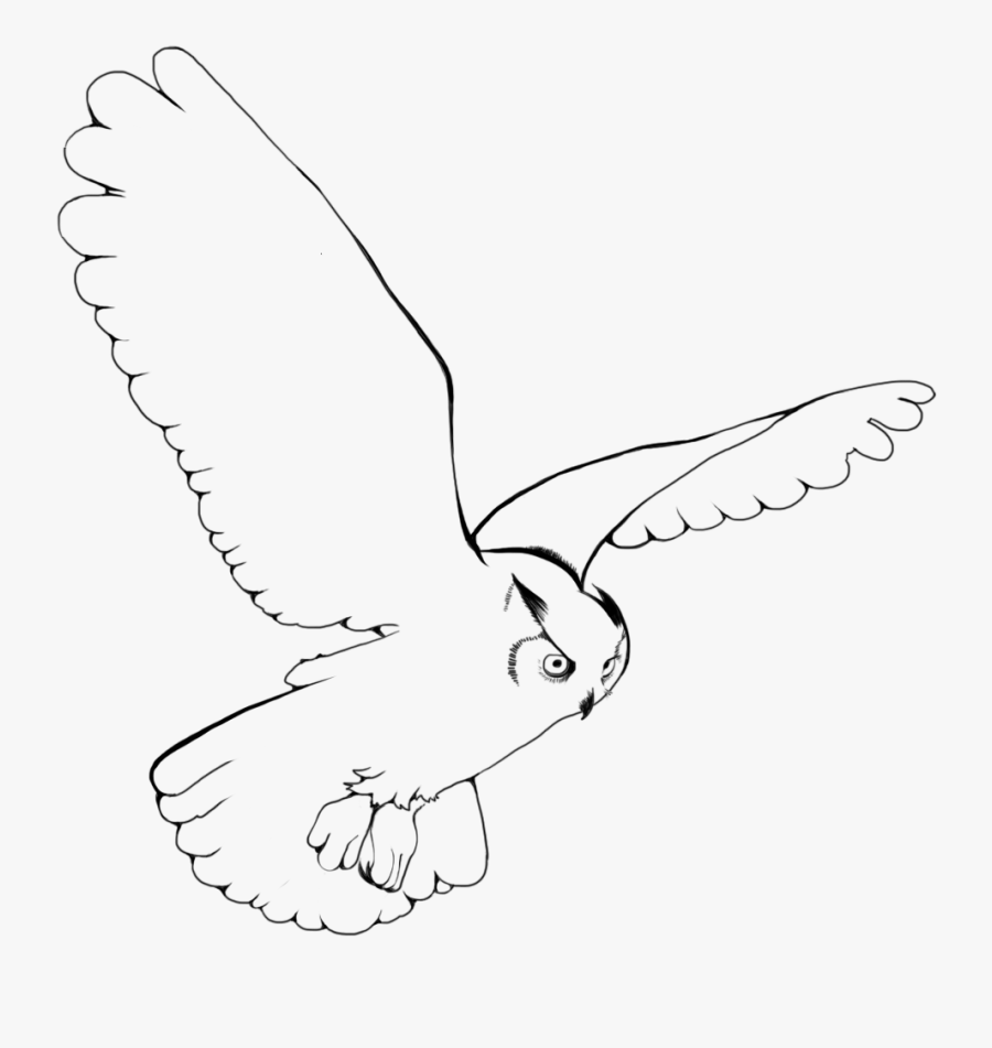 Outline Romeo Landinez Co - Snowy Owl Outline, Transparent Clipart