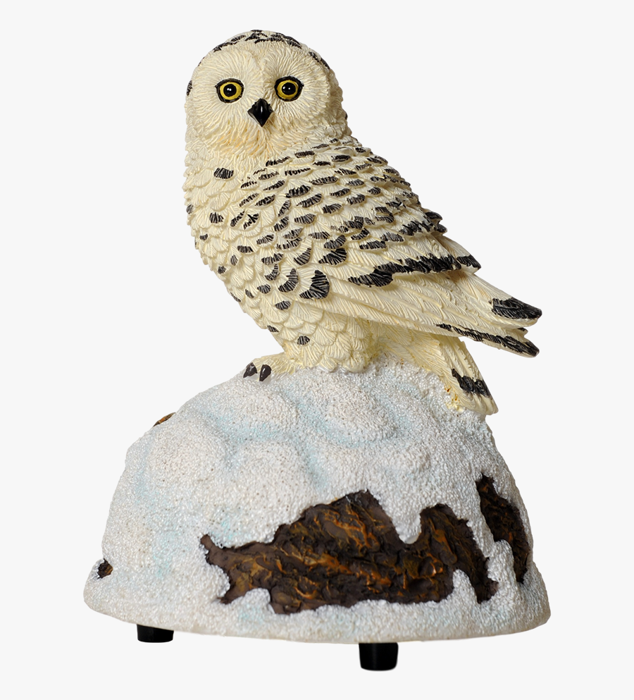Transparent Snow Owl Png, Transparent Clipart
