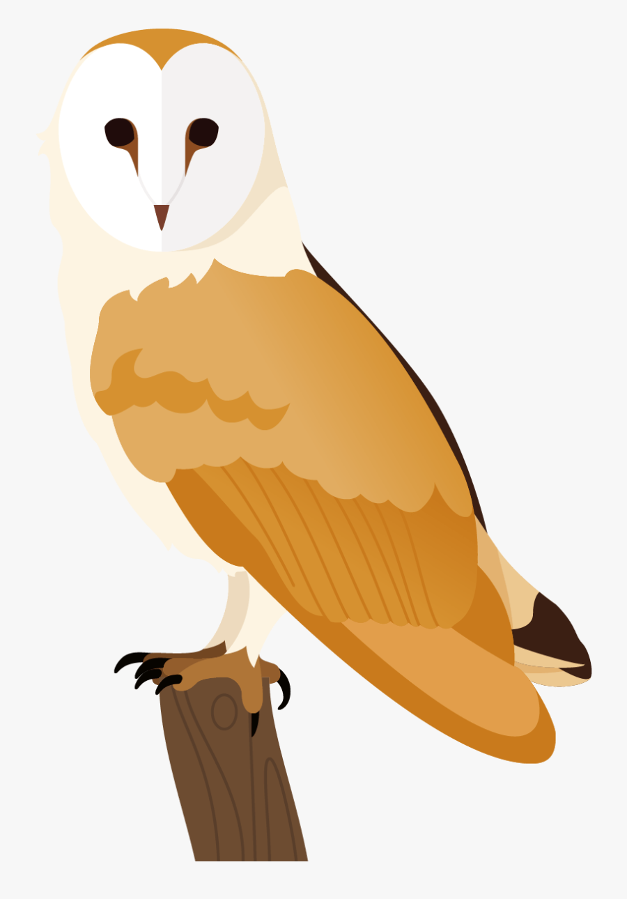Snowy Owl - Barn Owl, Transparent Clipart