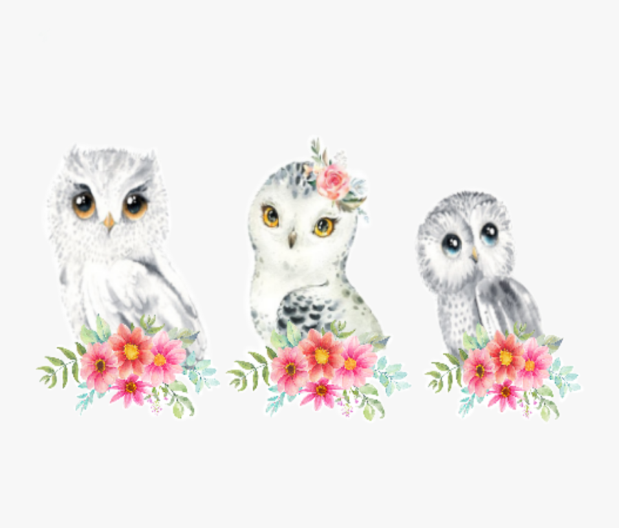 #watercolor #handpainted #owls #family #white #red - Snowy Owl, Transparent Clipart
