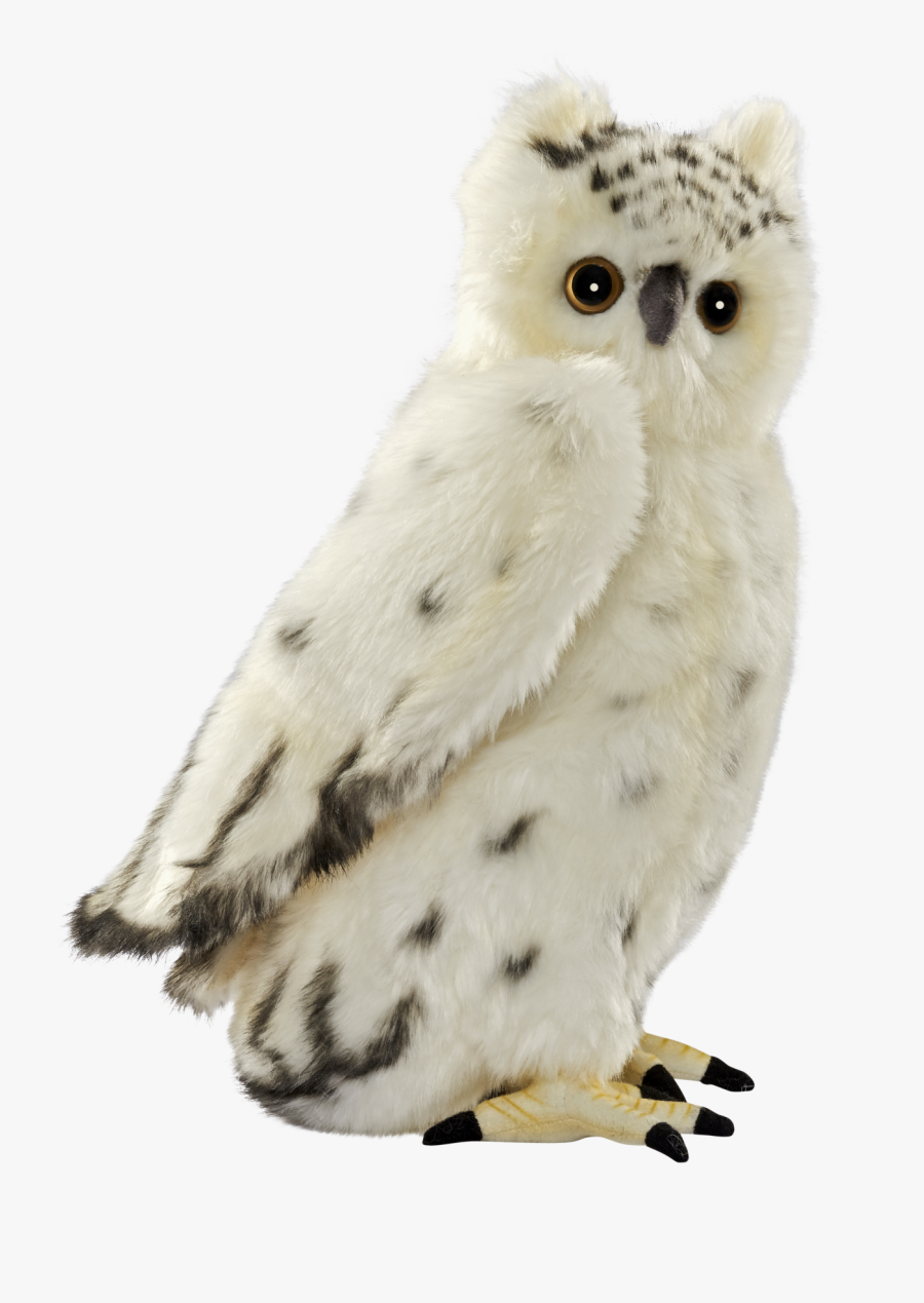Snowy Owl Bird Stuffed Animals & Cuddly Toys - Chouette Blanche Logo, Transparent Clipart