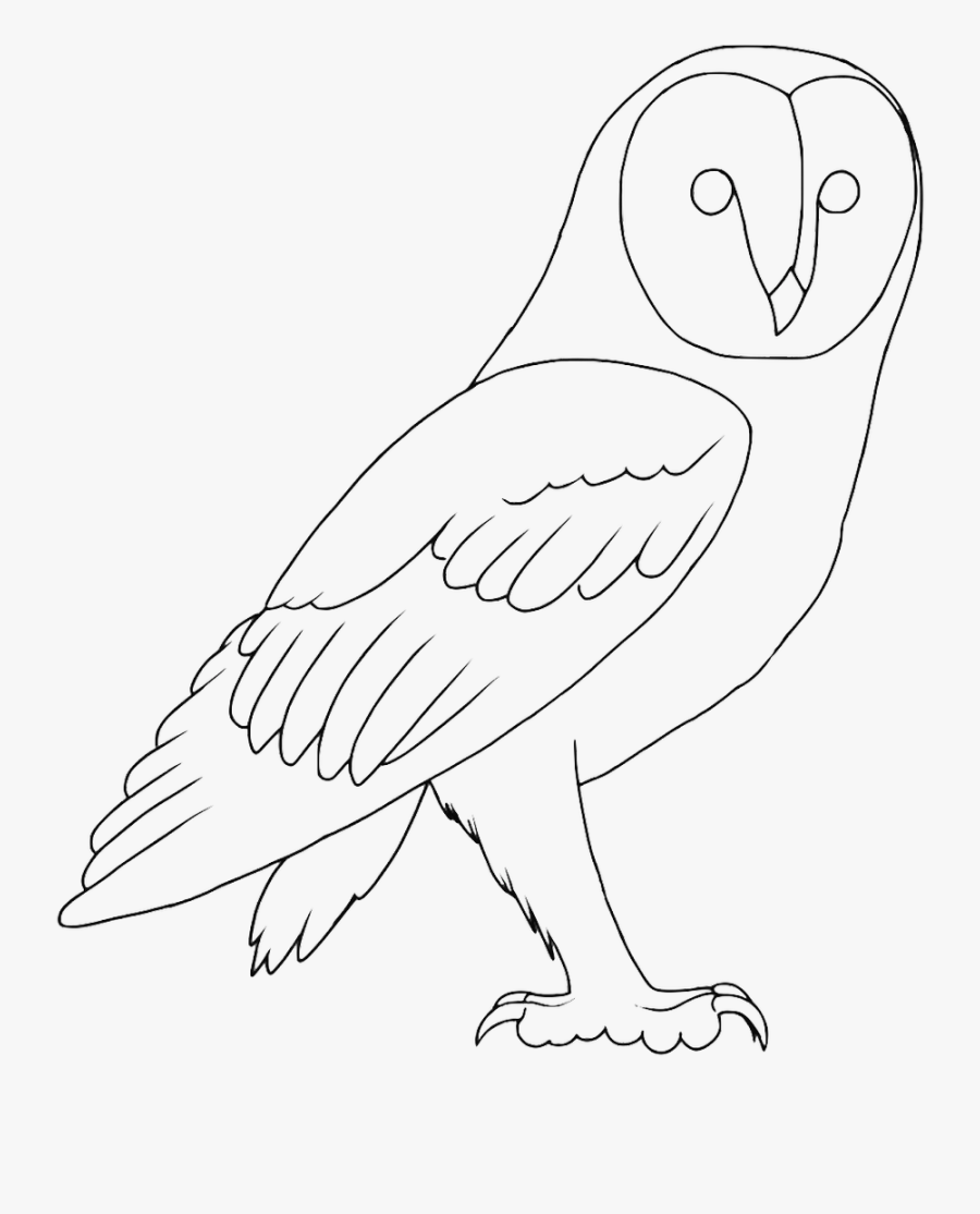 Black And White Owl Lineart - Barn Owl Line Drawing, Transparent Clipart