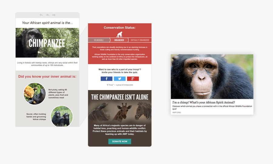 Quiz Saw Fast Buzz Online, Successfully Engaging New - Common Chimpanzee, Transparent Clipart