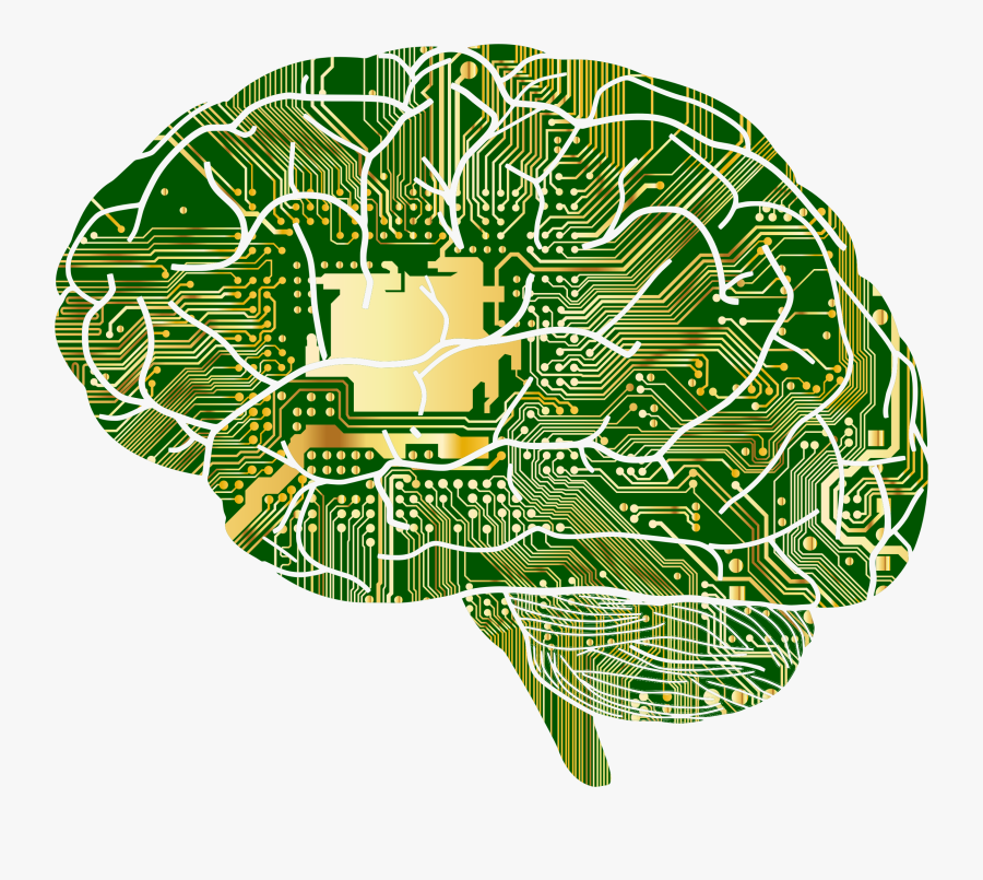 Plant,leaf,organ - Brain Computer, Transparent Clipart