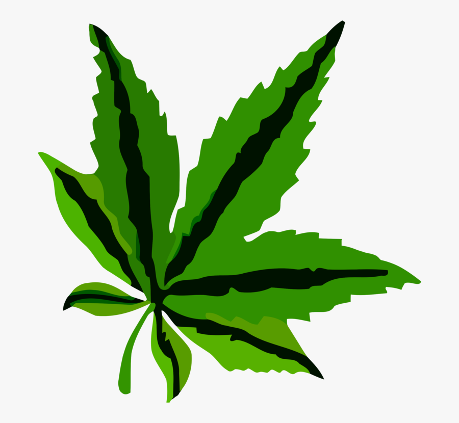 Plant,leaf,hemp Family - Leaf Pdf, Transparent Clipart