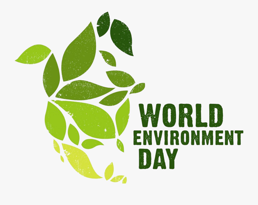 Department Of Science,technology & Environment, Government - World Environment Day Text, Transparent Clipart
