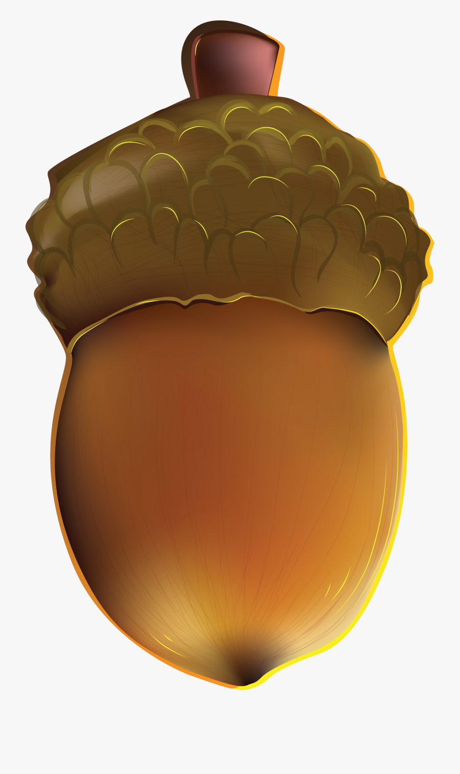 Желудь Рисунок Пнг , Free Transparent Clipart - ClipartKey
