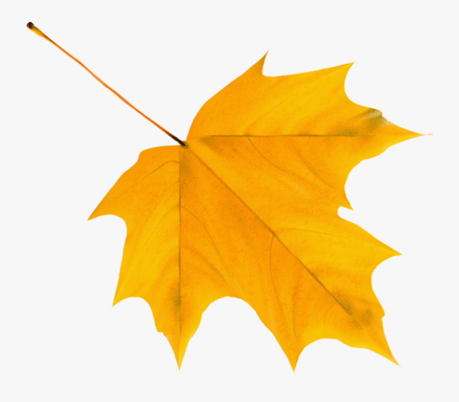 Download Yellow Autumn Leaf Clipart Png Photo - Yellow Autumn Leaf Png, Transparent Clipart