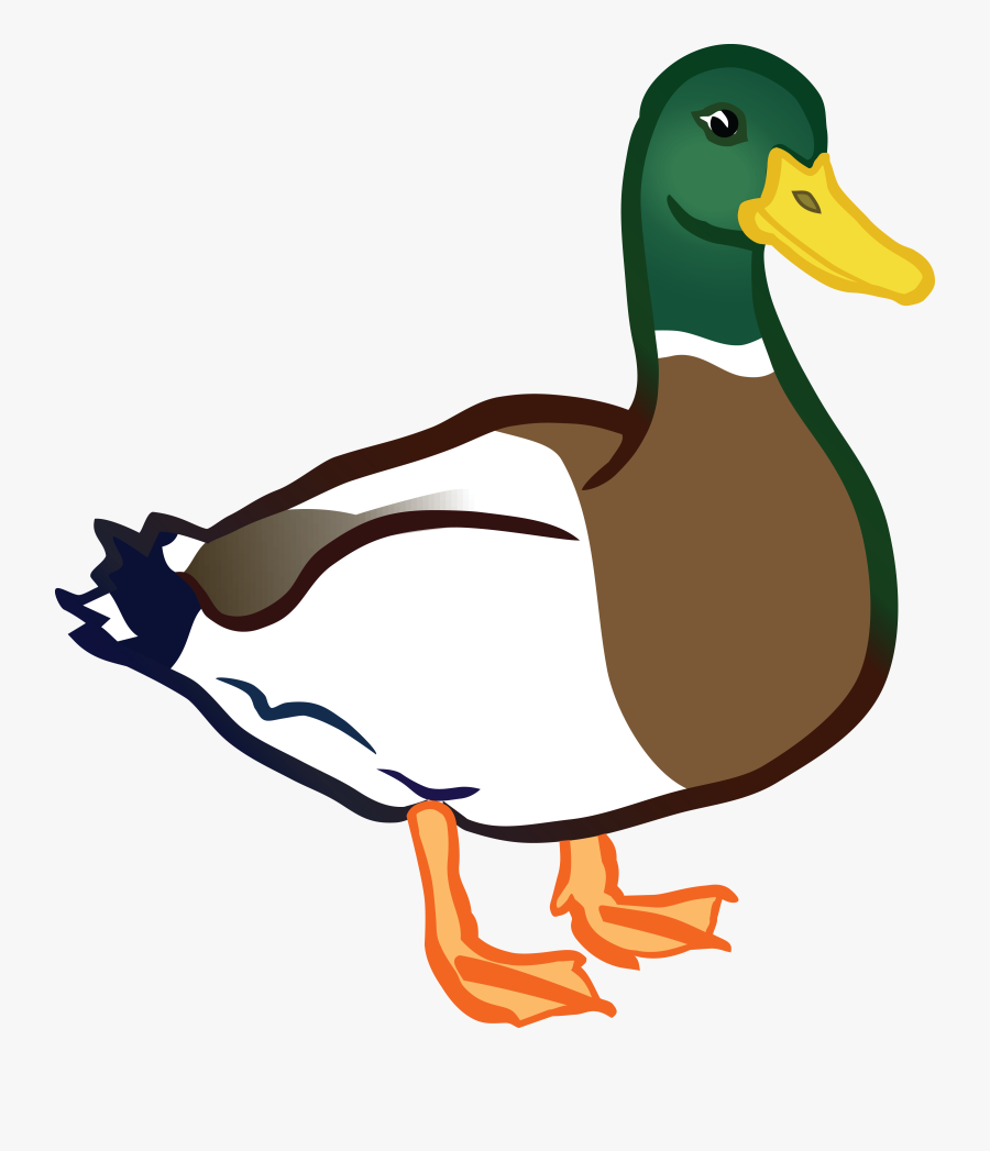 Thumb Image - Duck Clipart, Transparent Clipart