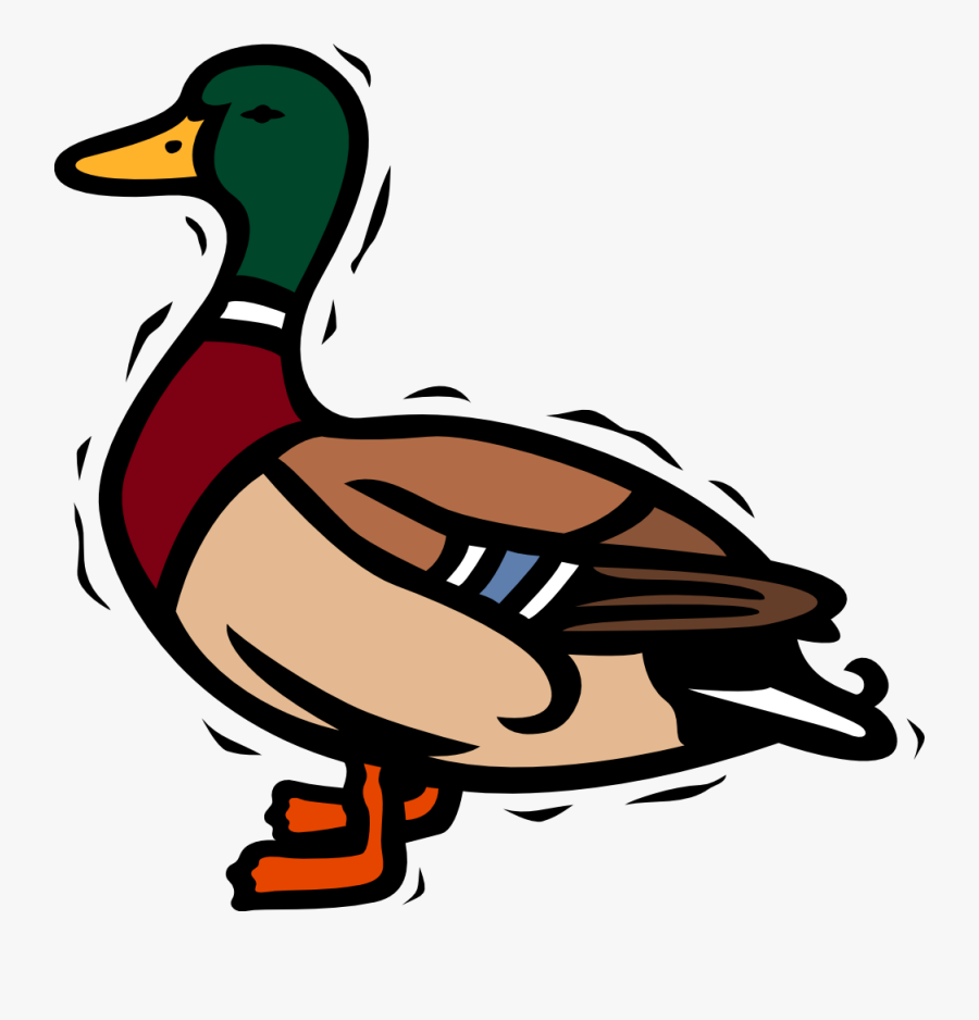 Duck Clip Art Images Illustrations Photos - Mallard Duck Clipart, Transparent Clipart