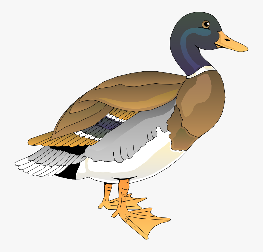 Duck Clipart, Transparent Clipart