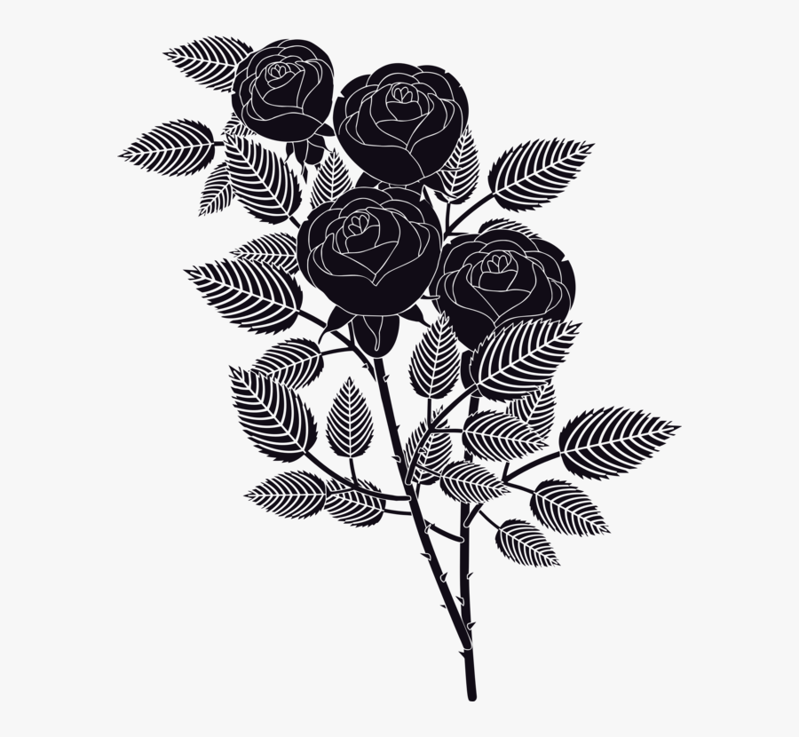 Plant,flora,leaf - Garden Roses, Transparent Clipart