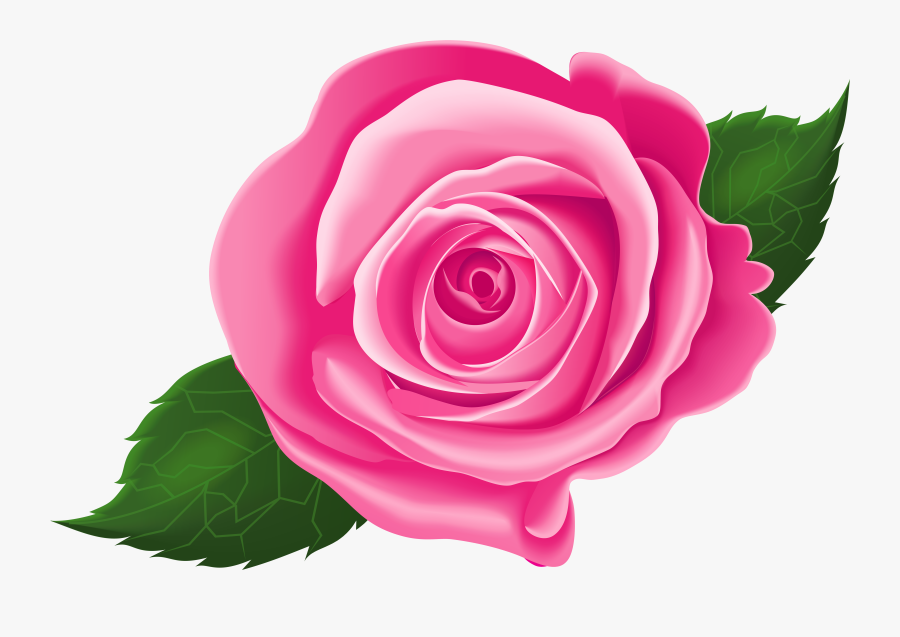 Clip Art Rose Leaves Clipart - Roses Png No Background, Transparent Clipart