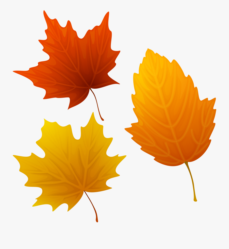 Set Of Autumn Leaves Clipart Png Image - Autumn Leaves Clipart, Transparent Clipart