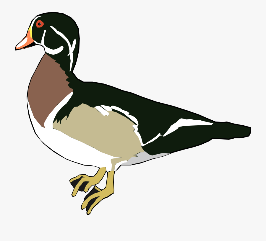 Ducks Clip Art - Pond Duck Cartoon Png, Transparent Clipart
