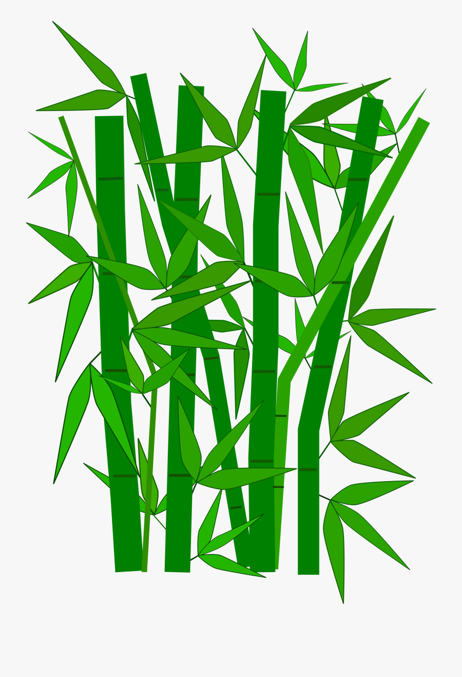 Transparent Bamboo Leaves Png - Bamboo Clipart, Transparent Clipart