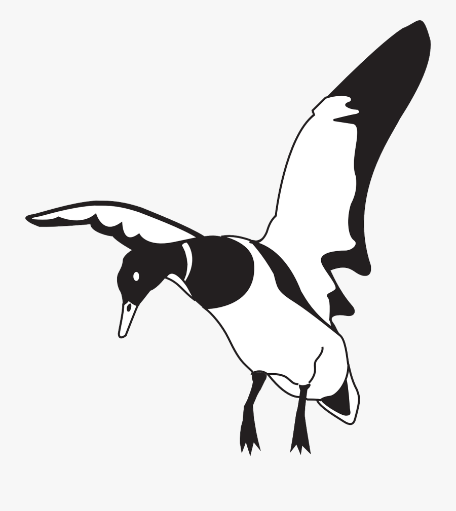 Landing Black And White Duck Clip Art At Clker - Duck Logo Black And White, Transparent Clipart