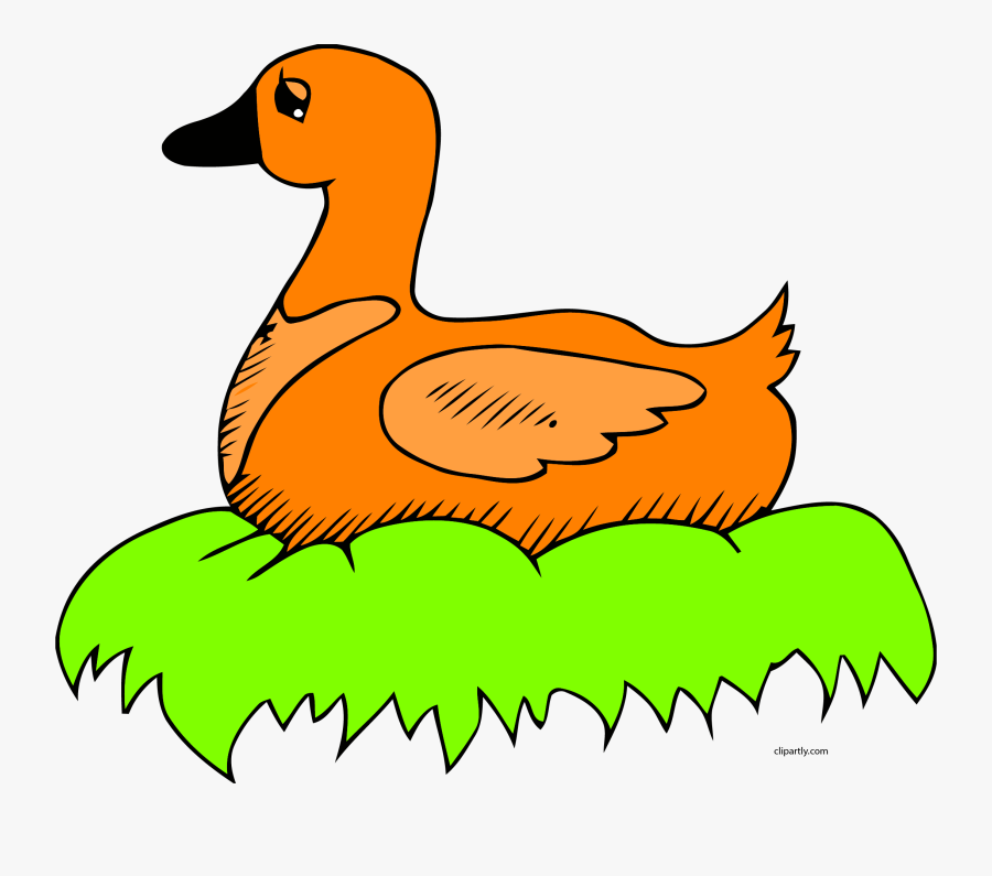 Picture Of A Cartoon Duck 26, Buy Clip Art - Duck Laying Egg Clipart, Transparent Clipart