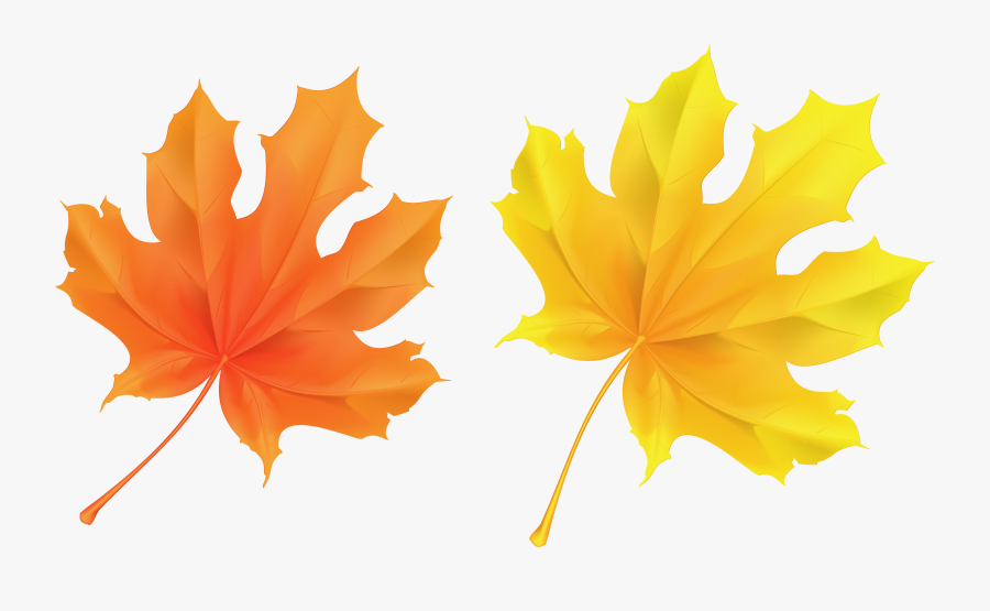 Leaves Clipart Orange - Transparent Orange Leaves, Transparent Clipart
