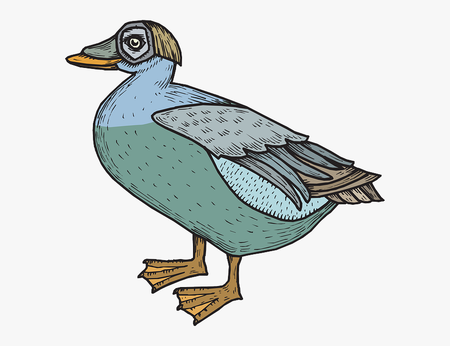 Duck, Transparent Clipart