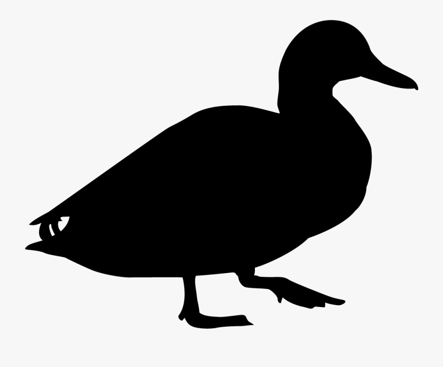 Clip Art Ducks Browse By Shape - Blue Winged Teal Silhouette, Transparent Clipart