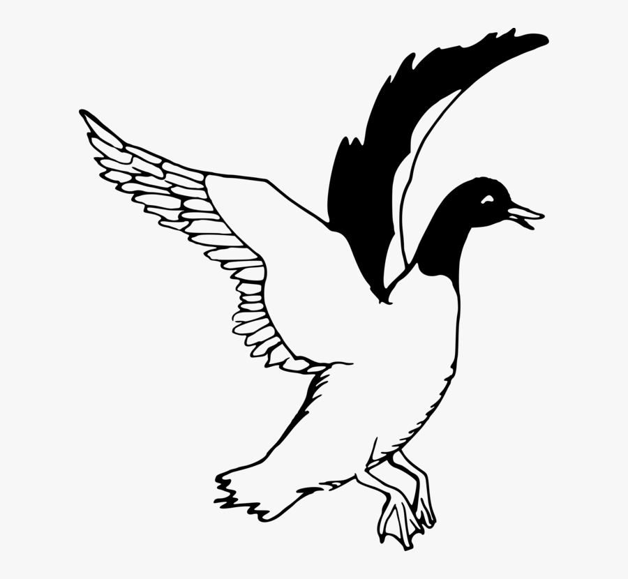 Art,monochrome Photography,duck - Flying Duck Clipart Black And White, Transparent Clipart