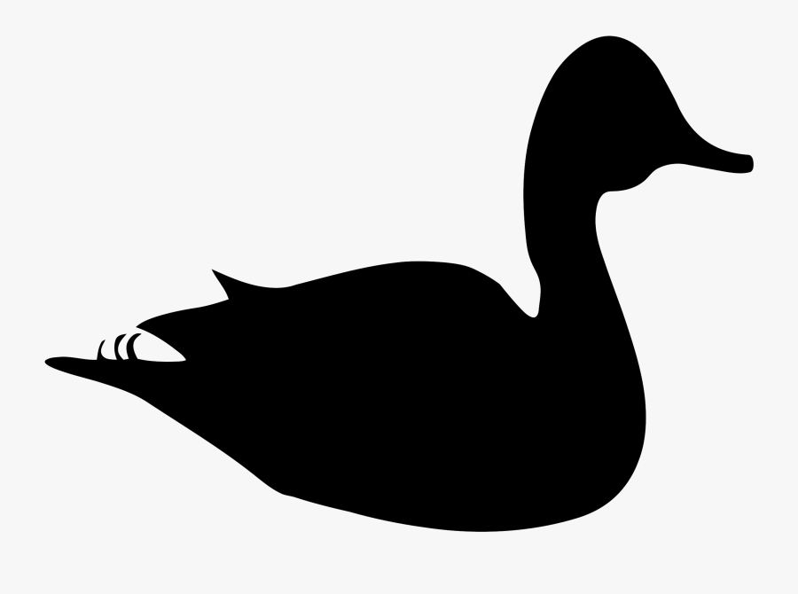 Silhouette - Duck - Canard Silhouette, Transparent Clipart