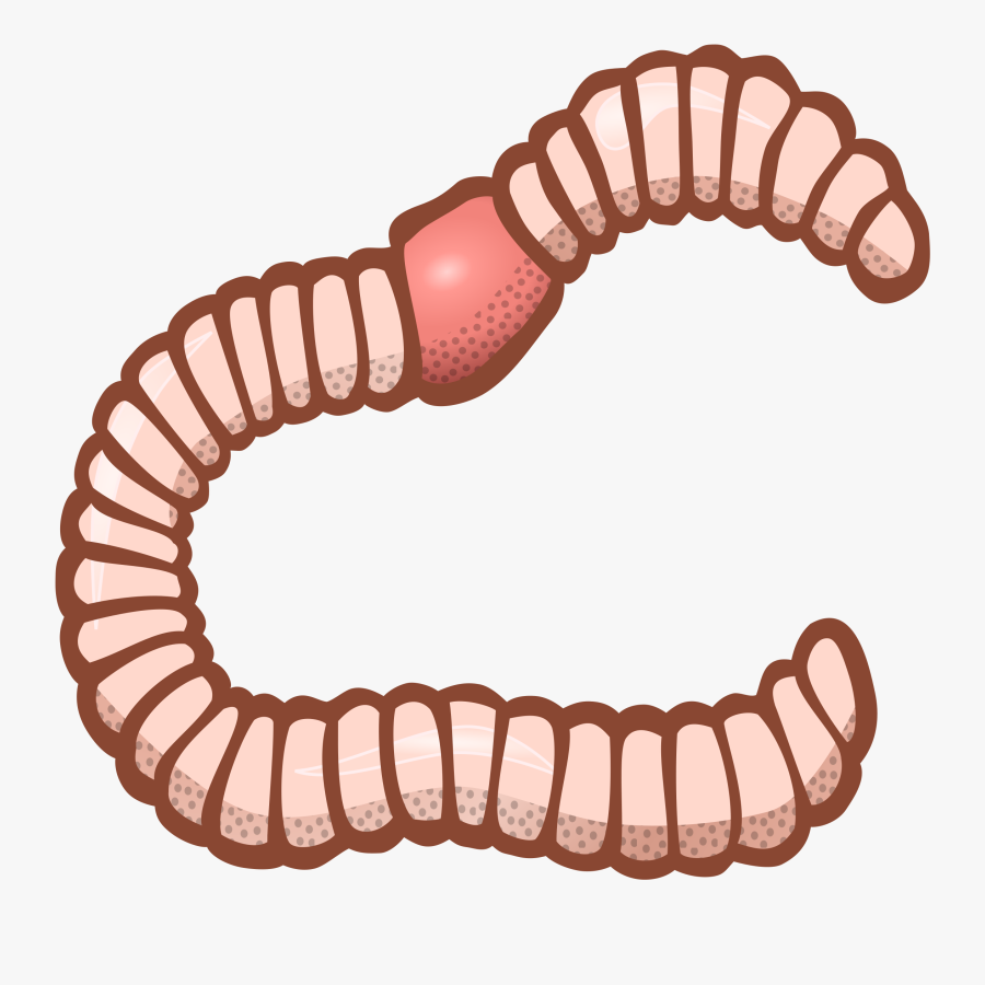 Transparent Background Worm Clipart , Png Download - Earthworm Clipart Black And White, Transparent Clipart