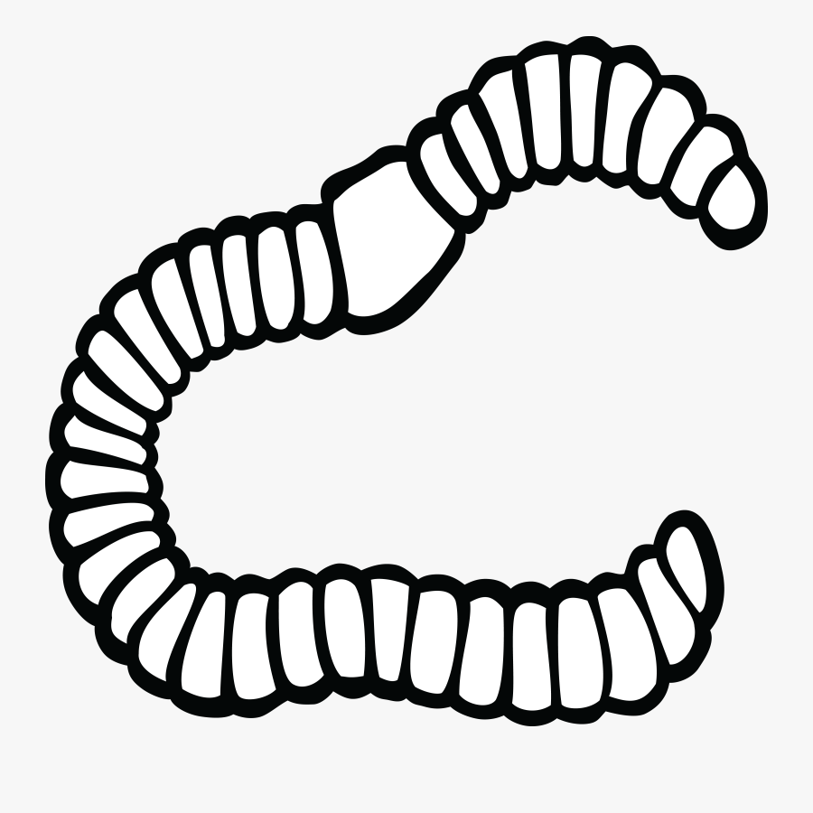 Thumb Image - Worm Black And White Clipart, Transparent Clipart
