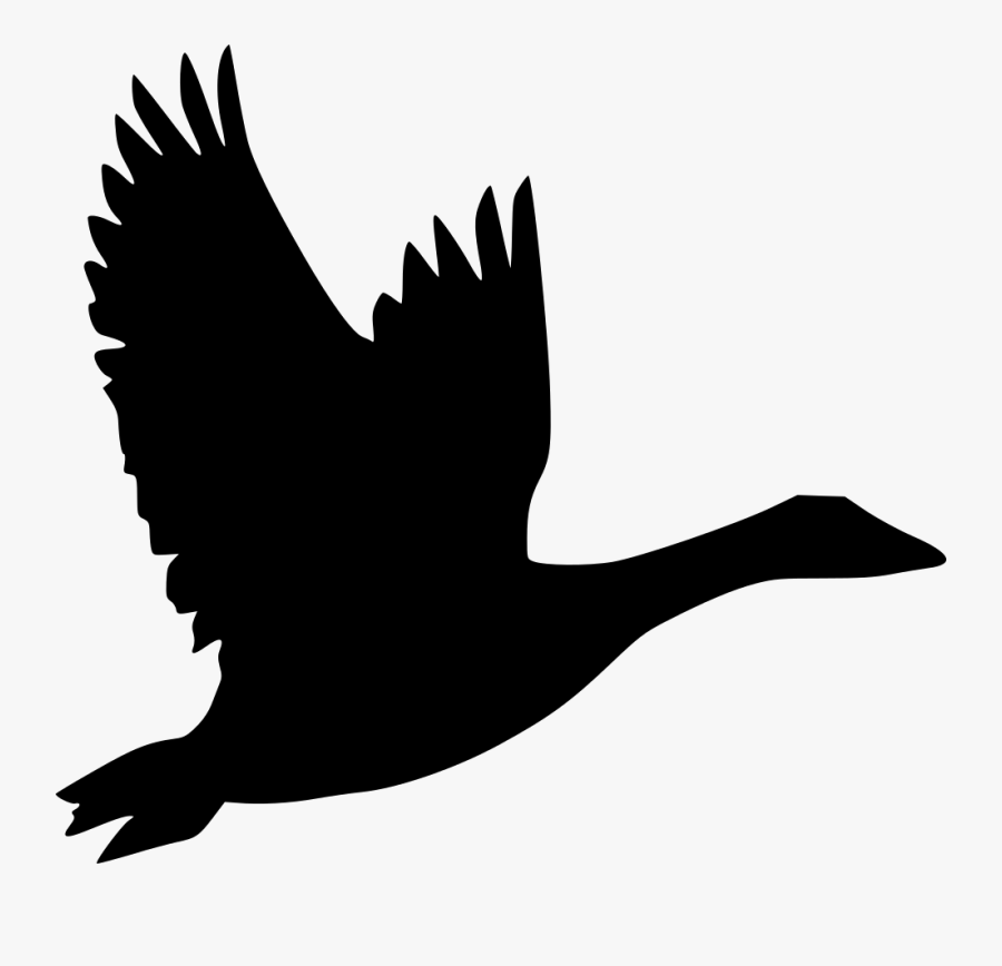 Bird Goose Flight Duck Clip Art - Canada Goose Icon Png, Transparent Clipart