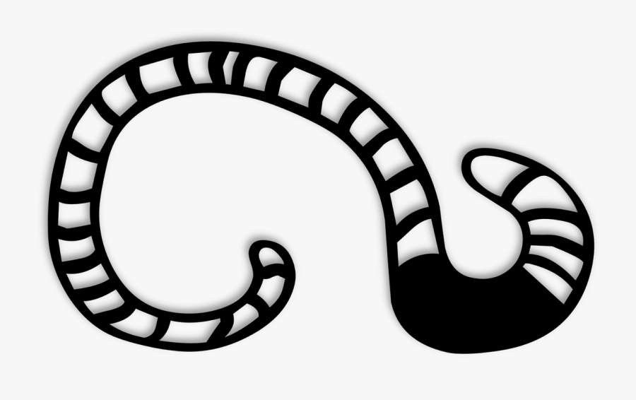Worm Clipart Wiggle Worm - Earthworm Clipart Black Whiteä, Transparent Clipart