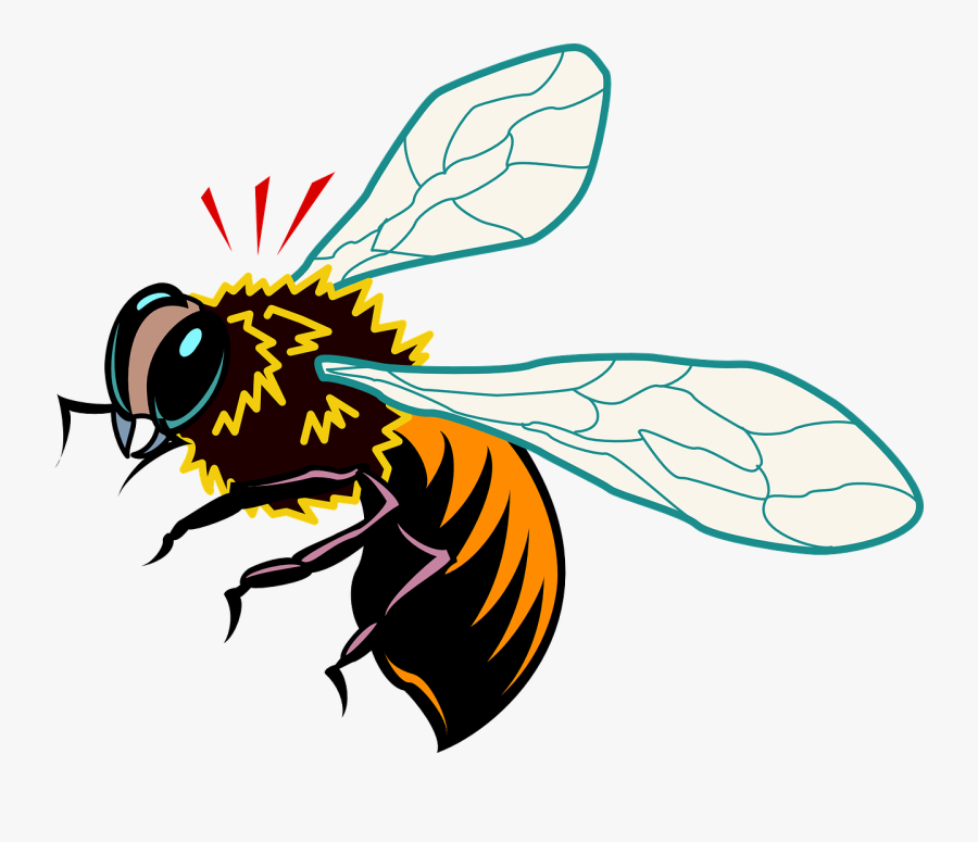 Bee, Insect, Wings, Startled, Bumblebee, Pollinate, Transparent Clipart