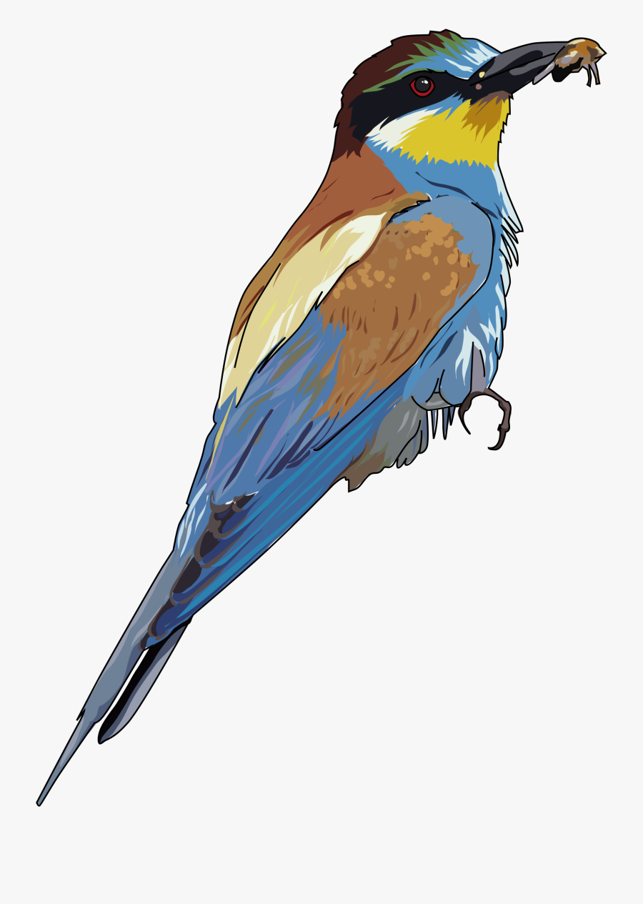 Clipart, Transparent Clipart