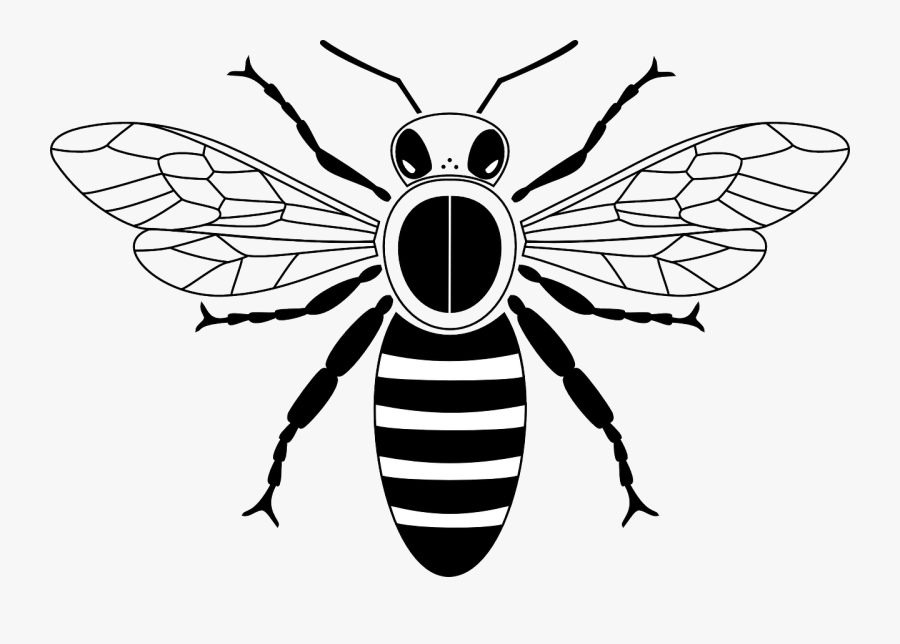 Cliparts For Free, Transparent Clipart